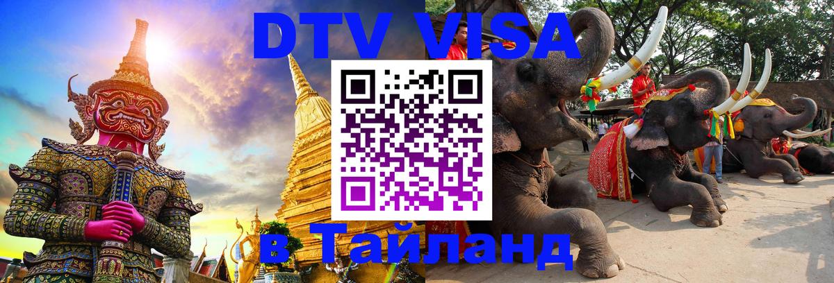 Оформление DTV визы под ключ: стоимость и тарифы, только загранпаспорт - 